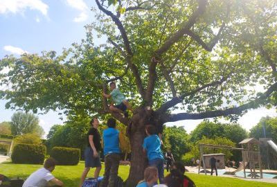 Schüler sitzen unter einem Baum. Manche klettern auf den Baum