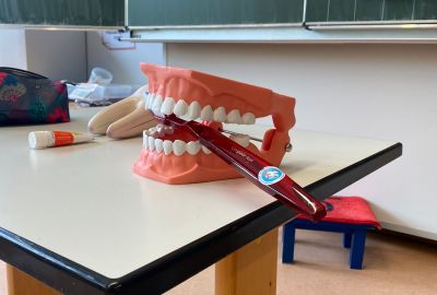 Ein großes Gebiss mit einer Zahnbürste zwischen den Zähnen steht auf dem Tisch.