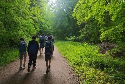 Schüler laufen durch einen Frühlungswald