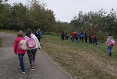 Zu sehen sind SchülerInnen auf einer Wiese beim Wandertag