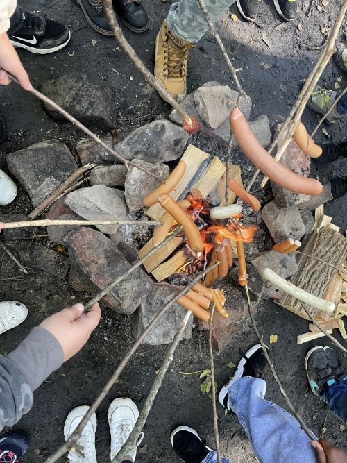 Zu sehen sind Kinder , die ihre Grillwürste an Stöcken ins Feuer halten
